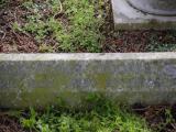 image of grave number 807458